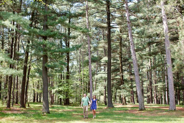 pine tree woods engagement photoshoot