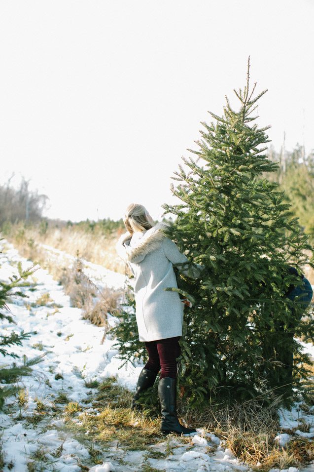 Rustic Tree Farm Engagement Photography Carly McCray Wisconsin Wedding Photographer, tree farm engagement photos, tree farm engagement photography, Christmas engagement photos