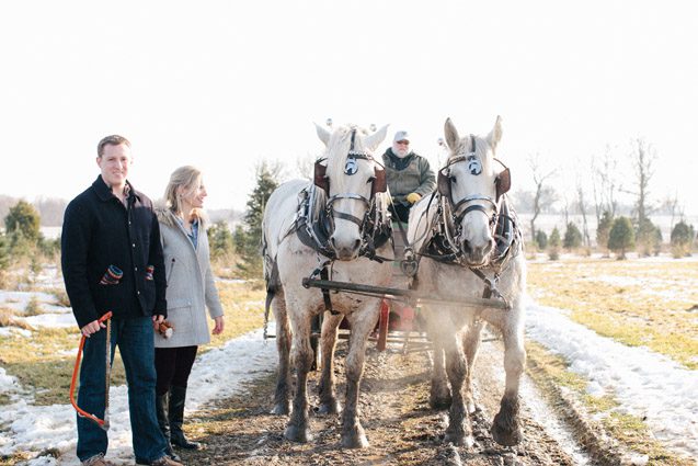 Rustic Tree Farm Engagement Photography Carly McCray Wisconsin Wedding Photographer, tree farm engagement photos, tree farm engagement photography, Christmas engagement photos