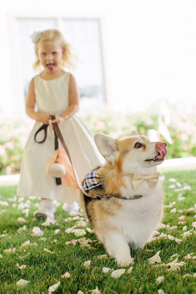 flower girl, dog ring bearer, wedding dog, elkhart lake wedding photographer, victorian village wedding, backyard wisconsin wedding, wisconsin lake wedding, fine art wisconsin wedding photography, milwaukee and madison wedding photographer Carly McCray Photography 