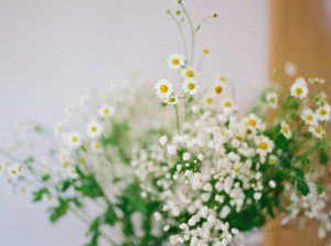 Madison Milwaukee Film Wedding Photographer, film food photographer, Stevens Point lifestyle photographer