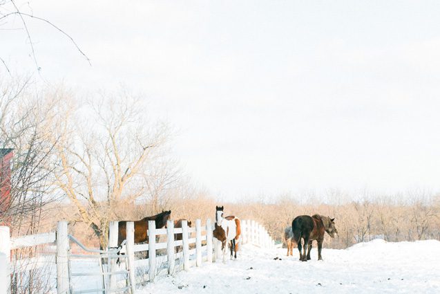 lake geneva wedding photographer, lake geneva wedding photography, wisconsin fine art wedding photographer Carly McCray, winter wedding, lake geneva wedding, blush wedding