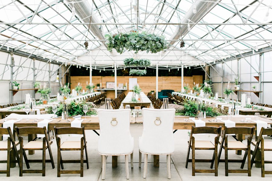 Greenhouse at Bittersweet wedding photography, greenhouse at bittersweet wedding, greenhouse wedding, wisconsin greenhouse wedding, charmant hotel wedding, charmant wedding photos, charmant wedding photographer, luxury wedding photographers, boutique wedding photography, carly mccray photography, groom wedding style, groom wedding clothes, greenhouse wedding Wisconsin