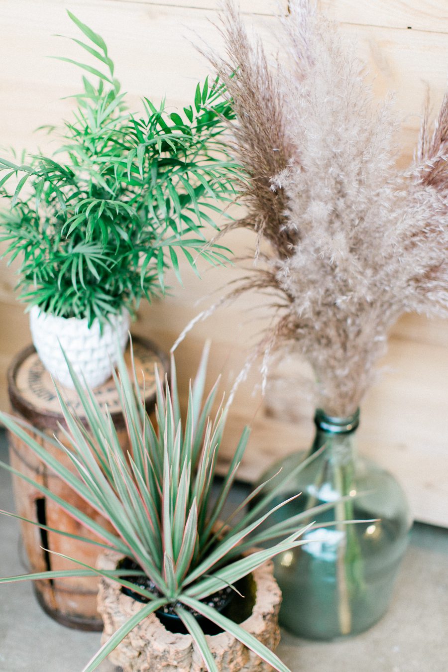 modern greenhouse wedding photos, carly mccray photography, lake geneva wedding photographer, madison wedding photographers, modern greenery wedding, modern wisconsin greenhouse wedding, modern greenery wedding, sleek wedding dress, greenery boutonnieres, black taper candles, green florals, modern greens