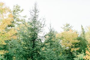 Door County engagement photos Door County wedding photographer Door County Wedding Carly McCray