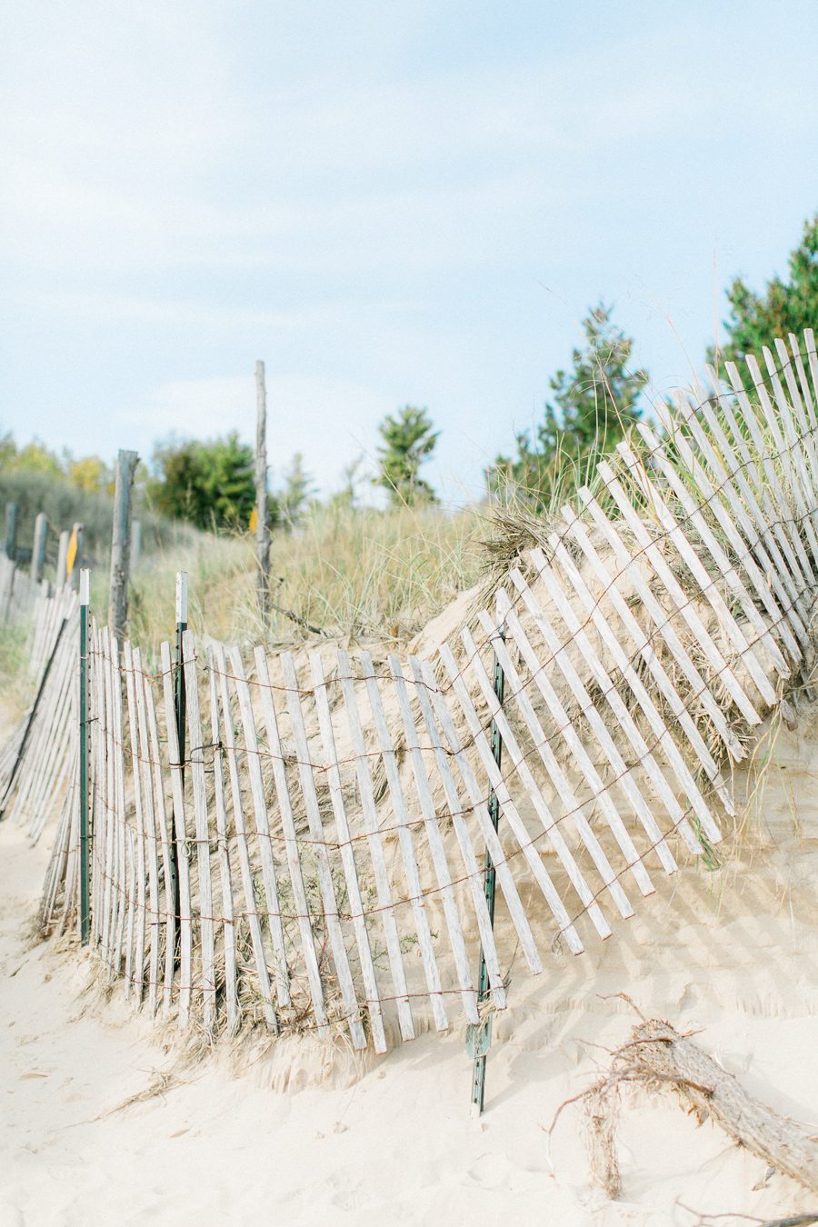 Door County engagement photos Door County wedding photographer Door County Wedding Carly McCray