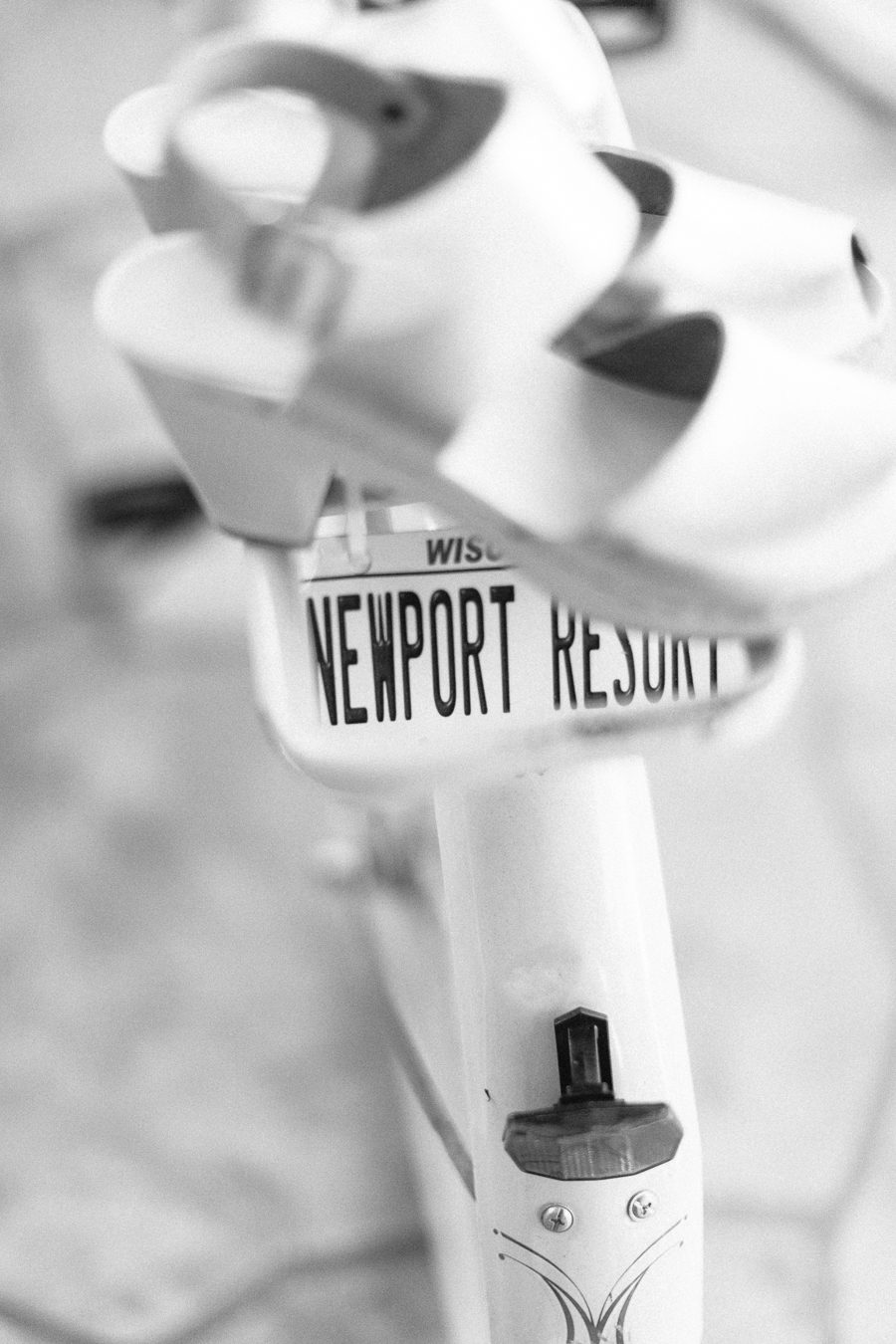 Door County Lake Geneva wedding photographer Carly McCray Lake Geneva weddings