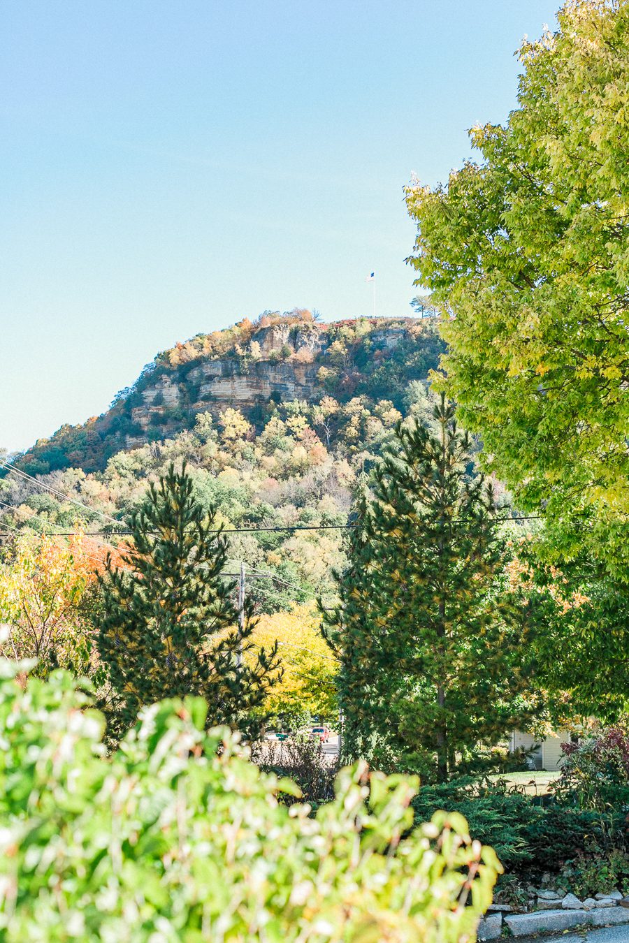 Carly McCray Lake Geneva Wedding Photographer