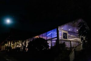 Carly McCray Lake Geneva Wedding Photographer