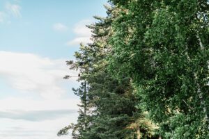 Lake Geneva wedding photographer